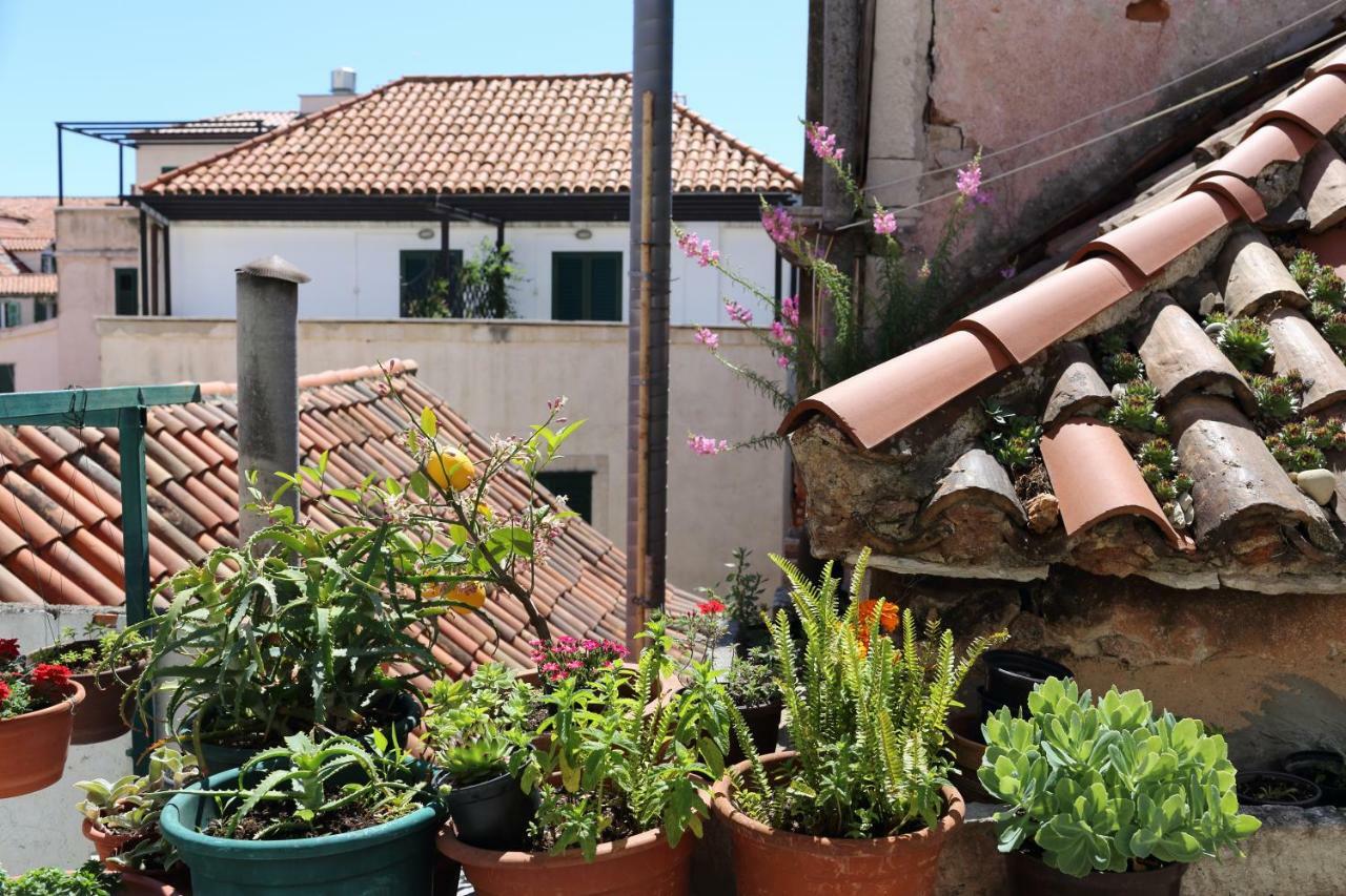 Affittacamere Malena Palace Experience Spalato