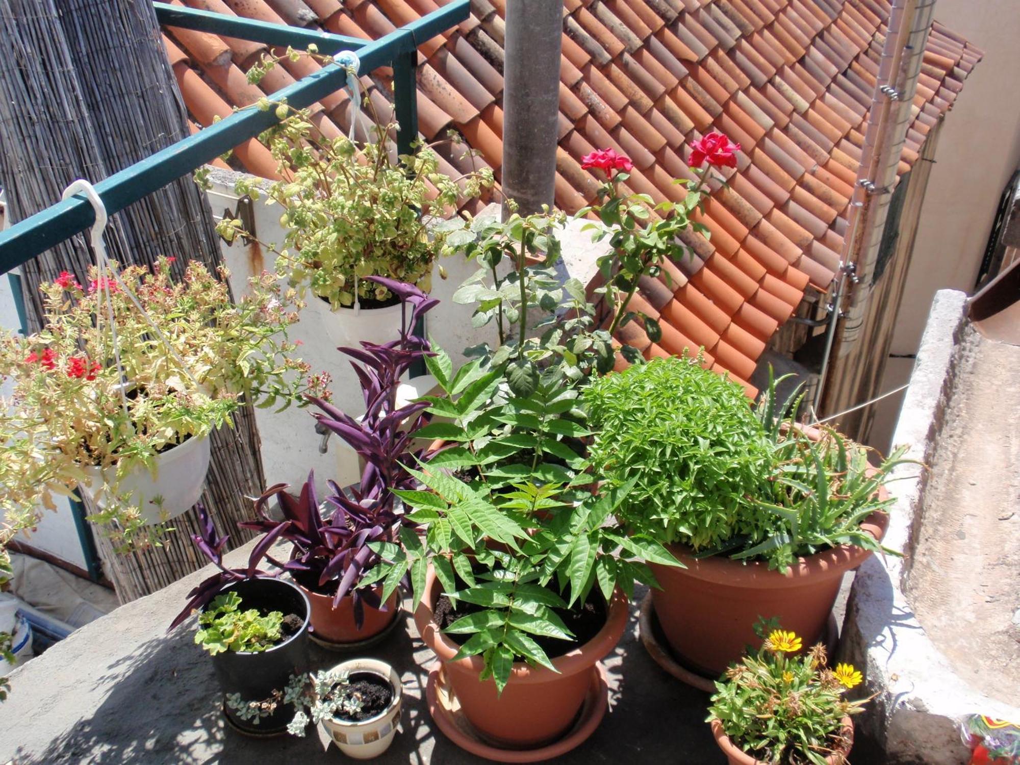 Guest house Malena Palace Experience Split